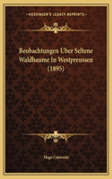 Beobachtungen Uber Seltene Waldbaume In Westpreussen (1895)