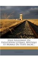 Jésus Souffrant, Ou Explication Litérale, Mystique Et Morale Du Texte Sacré...: (French)