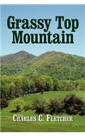 Grassy Top Mountain