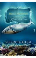 The Magical Underwater Kingdom of Balenarium: (English)