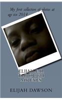 Elijah E.D. - Through My Eyes: Pictures by a Six Year Old Boy