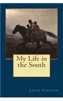 My Life in the South