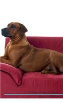 Rhodesian Ridgeback Affirmations Workbook Rhodesian Ridgeback Presents