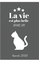 La vie est plus belle avec un chat