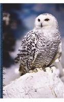 Snowy Owl Creative Journal