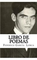 Libro de poemas