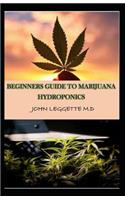 Beginners Guide to Marijuana Hydroponics