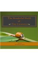 The Wonderful World of Tiny Creatures: Love Learning Nature