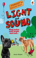 Light and Sound: What Makes Stuff Bright and Loud?(Stickmen's Science Stars)