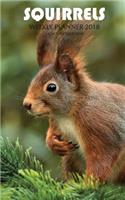 Squirrels Weekly Planner 2018: 16 Month Calendar