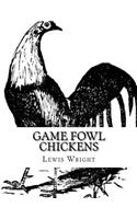 Game Fowl Chickens