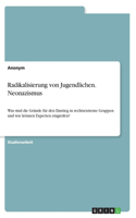 Radikalisierung von Jugendlichen. Neonazismus: Was sind die Gründe für den Einstieg in rechtsextreme Gruppen und wie können Experten eingreifen?