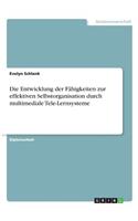 Entwicklung der Fähigkeiten zur effektiven Selbstorganisation durch multimediale Tele-Lernsysteme