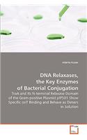 DNA Relaxases, the Key Enzymes of Bacterial Conjugation