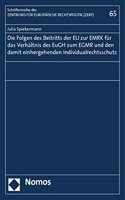 Die Folgen Des Beitritts Der EU Zur Emrk Fur Das Verhaltnis Des Eugh Zum Egmr Und Den Damit Einhergehenden Individualrechtsschutz