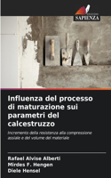 Influenza del processo di maturazione sui parametri del calcestruzzo