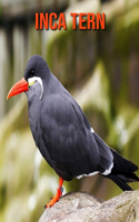 Inca Tern: Amazing Facts about Inca Tern