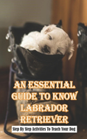 An Essential Guide To Know Labrador Retriever Step By Step Activities To Teach Your Dog: Socialization Training Book For Dog