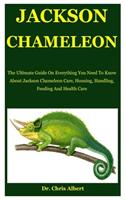 Jackson Chameleon