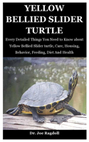 Yellow Bellied Slider Turtle