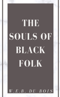 The Souls of Black Folk: A Literary Criticism Classic African American Demographic Sudies Discrimination and Racism