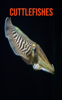 Cuttlefishes: Amazing Facts about Cuttlefishes