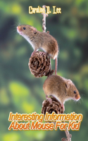 Interesting Information About Mouse For Kid