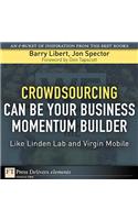 Crowdsourcing Can Be Your Business Momentum Builder