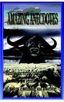 Amazing Anecdotes
