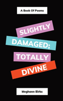 Slightly Damaged; Totally Divine
