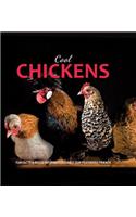 Cool Chickens