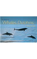 World of Whales, Dolphins & Porpoises