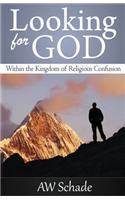 Looking for God within the Kingdom of Religious Confusion