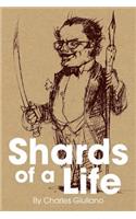 Shards of a Life