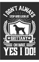 I Don't Always Stop and Look At Brittany OH Wait, Yes I Do!