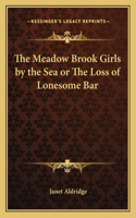 Meadow Brook Girls by the Sea or the Loss of Lonesome Bar