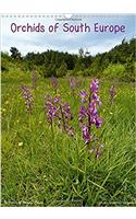 Orchids of South Europe 2018 / UK-Version 2018