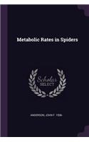Metabolic Rates in Spiders