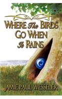 Where The Birds Go When It Rains: (English)