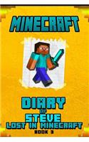 Minecraft Diary of Steve Lost in Minecraft Book 3