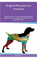 Original Mountain Cur Activities Original Mountain Cur Tricks, Games & Agility Includes: Original Mountain Cur Beginner to Advanced Tricks, Fun Games, Agility & More