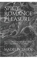 Spicy Romance Pleasure: A Collection of Hot and Spicy Romance Stories