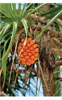 Pandanus Tree Journal: 150 page lined notebook/diary
