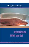 Experience with an Eel