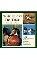 Why Ducks Do That: 40 Destinctive Duck Behaviors Explained & Photographed: 40 Destinctive Duck Behaviors Explained & Photographed