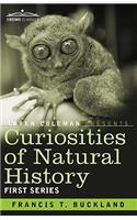 Curiosities of Natural History, in Four Volumes