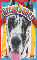 Great Danes