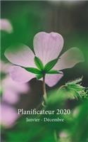 Planificateur 2020 Janvier - Décembre