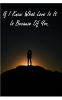 If I Know What Love Is It Is Because Of You.