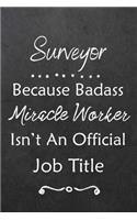 Surveyor Because Bad Ass Miracle Worker Isn't An Official Job Title